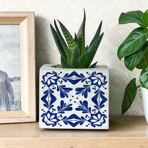 May include: A square concrete planter with a blue and white floral design, holding a green succulent plant. The planter is on a wooden shelf, next to a framed black and white photo. The plant has long, pointed leaves.