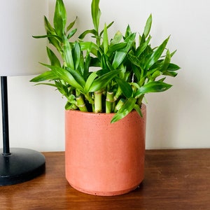 Minimalistischer Terrakotta-Übertopf, handgemachtes Wohndekor, Geschenk für sie, Weihnachtsgeschenke