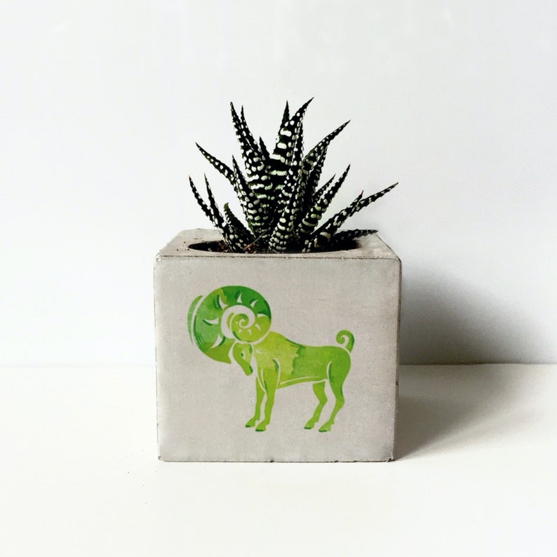 Zodiac Printed Concrete Planter, Succulent Holder, Gepersonaliseerde geschenken voor moeder, Dierenriem geschenken, Constellation Plant Potten, Minimalistische Planter afbeelding 3