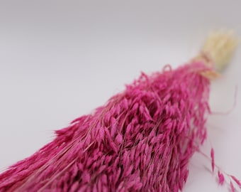 Dried Oat Grass, Dried Plume Reed, Dried Flower, Wedding Decoration, Dried Bouquet, Candle Supplies, Home Decoration