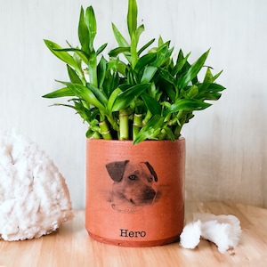 Haustier Portrait auf Terracotta Blumentopf, Geschenk mit Haustier Bild, Anpassbares Haustier Portrait, Haustier Portrait, Geschenk für Ihn