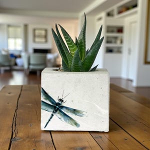 Maceta de hormigón con estampado de libélulas: Maceta artesanal para suculentas