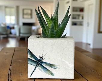 Jardinière en béton à imprimé libellule : pot de succulentes fait main