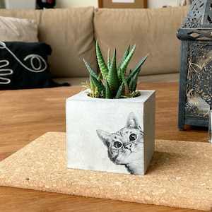 Katze Beton Pflanzgefäß, Katzenliebhaber Geschenk, anpassbarer Topf mit Katze, handgemachter Artikel, einzigartiges Geschenk für Mama, minimalistisches Wohndekor, Muttertagsgeschenk