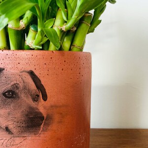 Huisdierportret op terracotta pot, gepersonaliseerde geschenken met huisdierfoto, huisdierherdenkingscadeau, handgemaakt cadeau, Moederdagcadeau, huisdierfotoplanter afbeelding 4