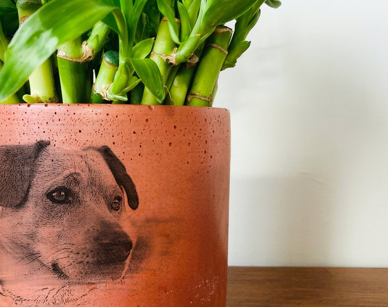 Pet Portrait On Terra Cotta Pot, Personalized Gifts with Pet Picture, Pet Memorial Gift, Handmade Gift, Mothers Day Gift, Pet Photo Planter image 4