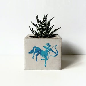 Zodiac Printed Concrete Planter, Succulent Holder, Gepersonaliseerde geschenken voor moeder, Dierenriem geschenken, Constellation Plant Potten, Minimalistische Planter afbeelding 5