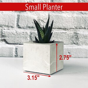Peut inclure: Un petit pot en b&eacute;ton blanc avec une plante succulente &agrave; l'int&eacute;rieur. Le pot mesure 3,15 pouces de large et 2,75 pouces de haut.