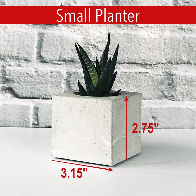 Peut inclure: Un petit pot en b&eacute;ton blanc avec une plante succulente &agrave; l'int&eacute;rieur. Le pot mesure 3,15 pouces de large et 2,75 pouces de haut.