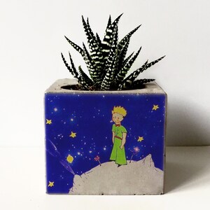 Peut inclure: Un petit pot en b&eacute;ton avec un fond bleu et une plante succulente ray&eacute;e de blanc et de noir. Le pot pr&eacute;sente une illustration color&eacute;e du Petit Prince debout sur un ast&eacute;ro&iuml;de avec des &eacute;toiles en arri&egrave;re-plan.
