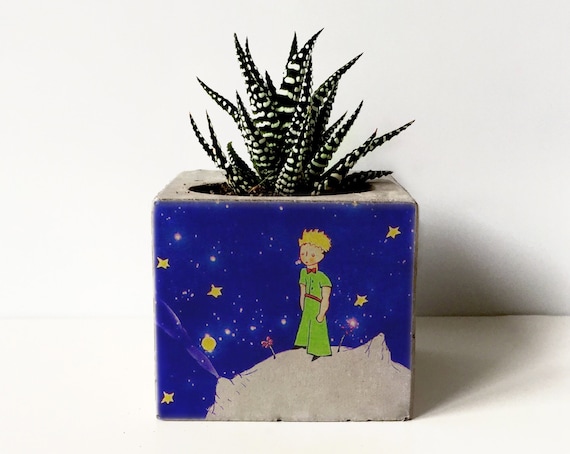 Printed Concrete Planter with Succulent: Handmade Beton Plant Pot