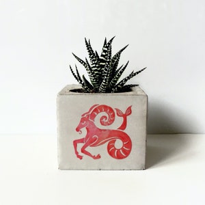 Zodiac Printed Concrete Planter, Succulent Holder, Gepersonaliseerde geschenken voor moeder, Dierenriem geschenken, Constellation Plant Potten, Minimalistische Planter afbeelding 4