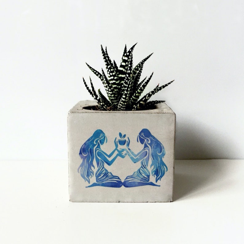 Zodiac Printed Concrete Planter, Succulent Holder, Gepersonaliseerde geschenken voor moeder, Dierenriem geschenken, Constellation Plant Potten, Minimalistische Planter afbeelding 1