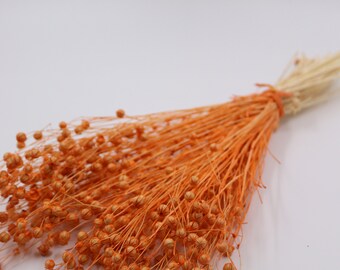 Dried Linum, Dried Peganum Harmala, Dried Flower, Wedding Decoration, Dried Bouquet, Candle Supplies, Home Decoration