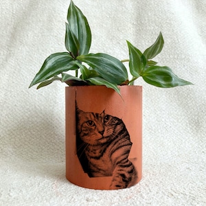 May include: A terracotta planter with a cat design, featuring a green leafy plant. The cat is peeking out from behind the planter.