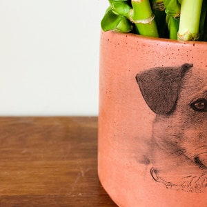 Pet Portrait On Terra Cotta Pot, Personalized Gifts with Pet Picture, Pet Memorial Gift, Handmade Gift, Mothers Day Gift, Pet Photo Planter image 5