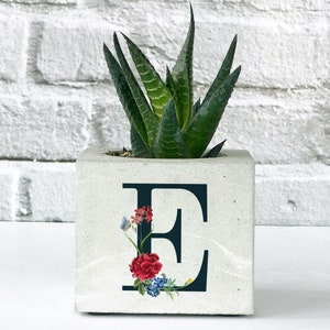 May include: A white concrete planter shaped like the letter E, with a succulent plant growing inside. The planter is decorated with a floral design featuring red, blue, and yellow flowers.