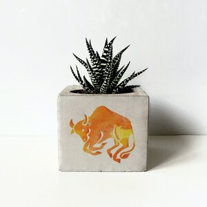 Zodiac Printed Concrete Planter, Succulent Holder, Gepersonaliseerde geschenken voor moeder, Dierenriem geschenken, Constellation Plant Potten, Minimalistische Planter afbeelding 2