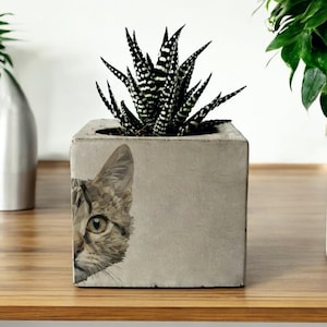 Customizable Cat Printed Concrete Planter, Pet Gift, Succulent Holder, Concrete Cactus Pots, Animal Prints Gift, Home Decor, Cat Lover Gift