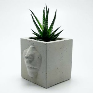 Trendy Craft Beton - Cemento para manualidades