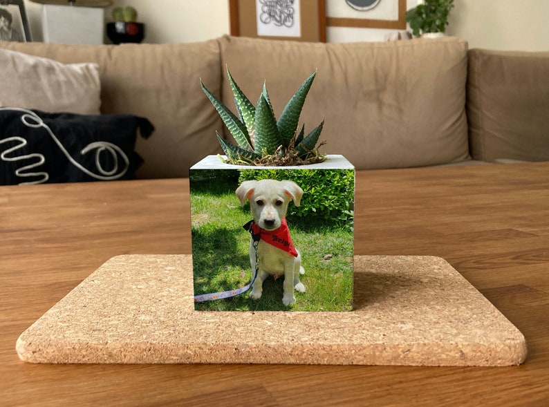 Multiple Photo On Concrete Planter, Customizable Gift, Minimalist Pot With Your Photos, Handmade Gift For Her, Personalized Bridesmaid Gift image 3