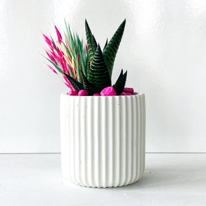Minimalist Concrete Planter in 3 colors, Modern Pot, Mothers Day Gift, Gift For Her, Soft Touch Planter
