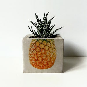 Pineapple Printed Concrete Planter, Personalized Gifts, Plant Pot, Succulent Hoders, Gift For Her, Home Decor, Pineapple Lover Gifts