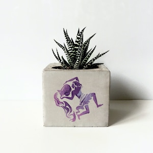 Zodiac Printed Concrete Planter, Succulent Holder, Gepersonaliseerde geschenken voor moeder, Dierenriem geschenken, Constellation Plant Potten, Minimalistische Planter afbeelding 7