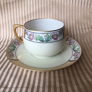 Antique MZ Austria Teacup and Saucer Set, Teacup Collection, Hand Painted Stouffer Teacup
