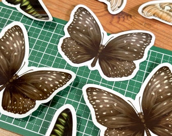 Brown Moth Sticker | Single Matte Vinyl / Transparent Vinyl Sticker (NOT White Ink) | For Laptops, Notebooks, Water Bottles, Phone Cases