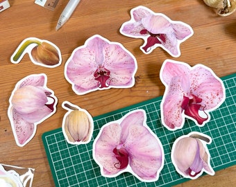 Purple Orchids Sticker Pack | Set of 8 Transparent Vinyl Stickers | For Customising Laptops, Notebooks, Water Bottles, Phone Cases