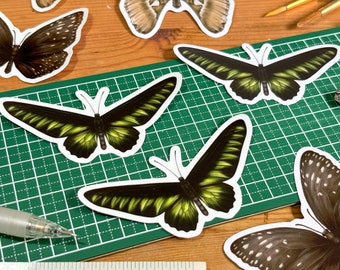 Green and Black Moth Sticker | Single Matte Vinyl / Transparent Vinyl Sticker (NOT White Ink) | For Laptops, Notebooks, Water Bottles