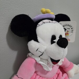 May include: A plush Minnie Mouse doll with black ears, a white face, and a black nose. She wears a pink dress with a white collar and a purple hat with a yellow flower. A tag with the Mickey & Co. logo is attached.