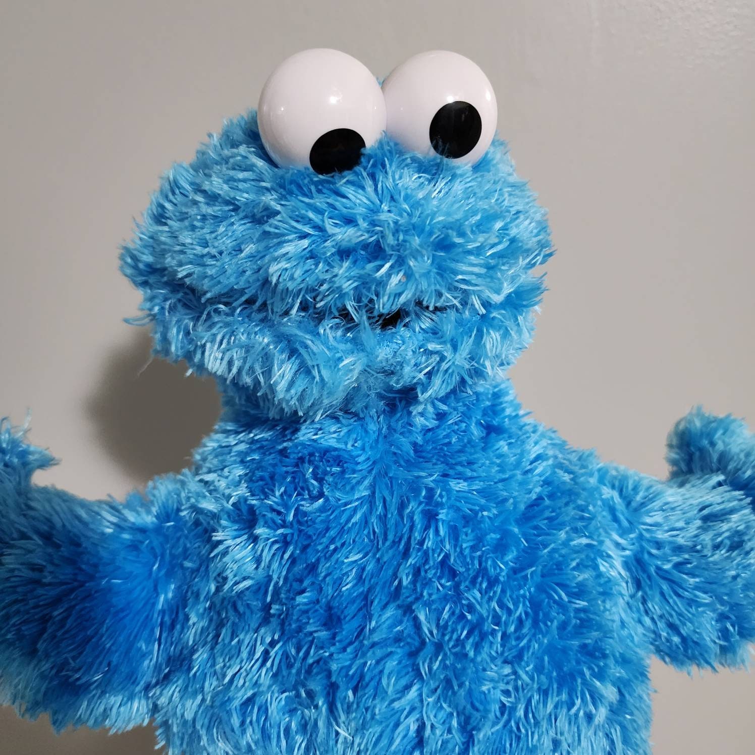 Cookie monster stuffed animal deals