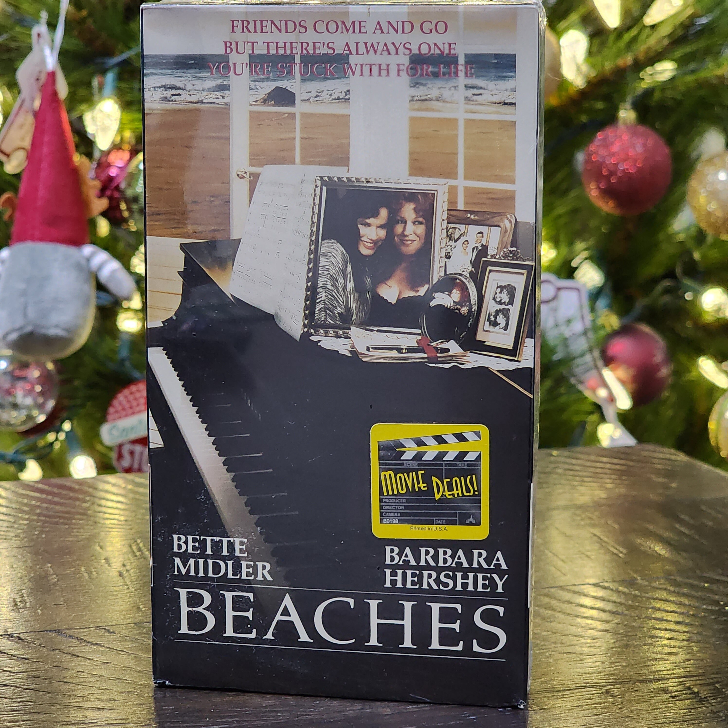 The Movie Beaches With Bette Midler 60 Photos - Moonagedaydream.film