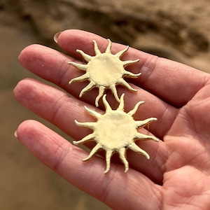 Pode incluir: Dois brincos dourados em forma de sol com superfícies texturizadas. Os brincos são segurados em uma mão contra um fundo desfocado de areia e água. Os brincos de sol têm um disco central com raios radiantes.