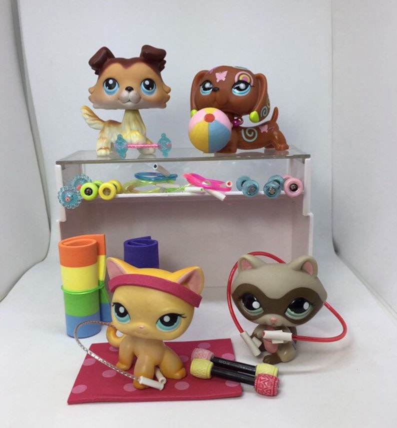 Littlest Pet Shop LPS accessories lot 320RANDOM pcs lot lps Etsy