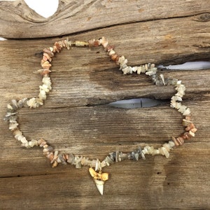 Beautiful Burnished Modern Mako Shark Tooth on a Multicolor Moonstone Gemstone Necklace 18&quot;