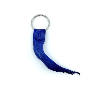 Nuevo genuino australiano Bufo Marinus Cane Toad Small Leg with Foot Charm Key Ring 2.5 "Limited Edition Cobalt Blue