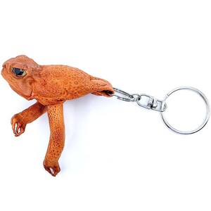 Nuevo genuino australiano Bufo Marinus Cane Toad Body with Front Legs Orange Key Fob 3.5" Accesorios de cuero Plata 1" Llavero giratorio