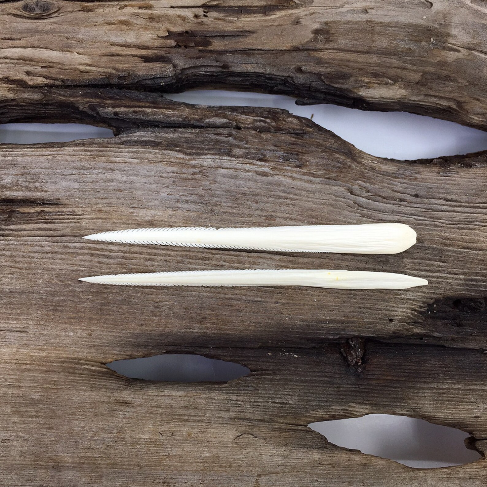 Hand Select Stingray Barbs 4.25 Set of 2 Group 1 Etsy