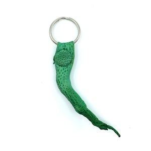 Nuevo Genuino Australiano Bufo Marinus Cane Toad Small Leg with Foot Charm Key Ring 2.5" Limited Edition Green