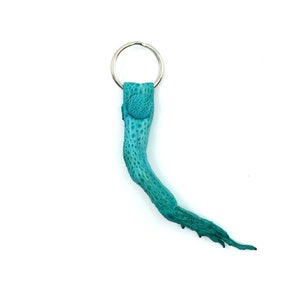 Nuevo genuino australiano Bufo Marinus Cane Toad Small Leg with Foot Charm Key Ring 2.5 "Limited Edition Turquoise Blue