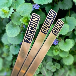 Custom Gold Garden Markers, Herb Stakes, Vegetable Plant Tags - Extra Tall