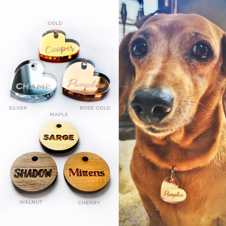 May include: A collection of pet tags in various shapes and materials. Heart-shaped tags in gold, silver, and rose gold are engraved with names. Round tags in walnut, maple, and cherry wood are also engraved. A dachshund wears a rose gold heart tag.