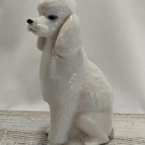 Lomonosov Dog - Etsy
