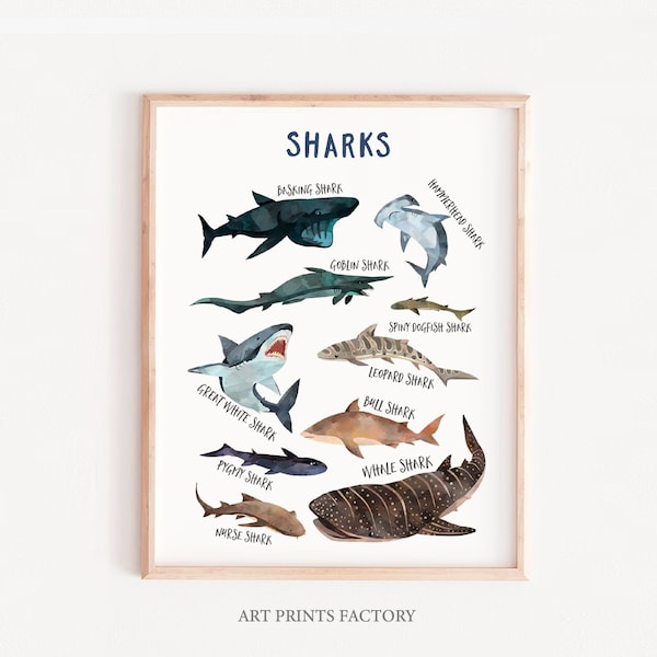 Shark Chart Art Print, Shark Chart  Poster, kids prints, Scientific Print, Shark wall Print, Vertical Shark Chart sea creatures print, shark