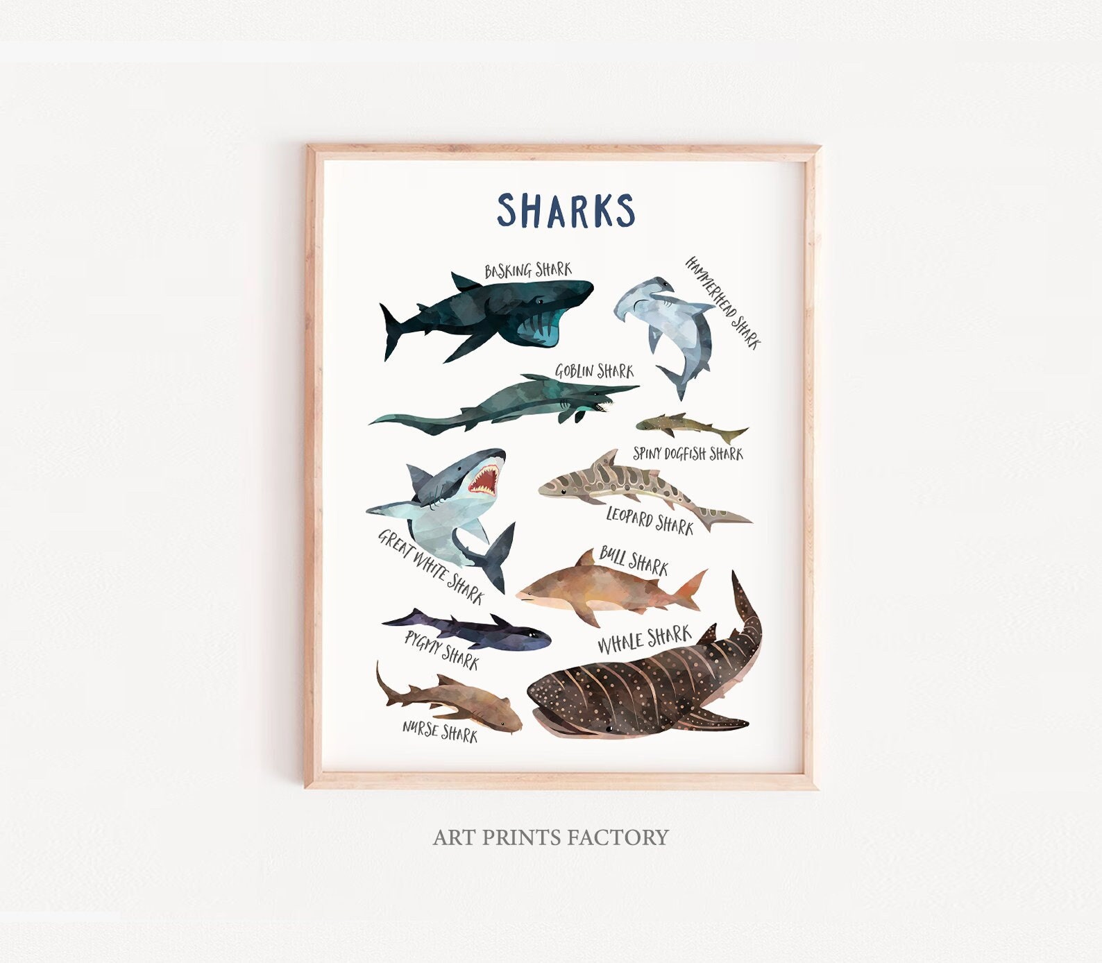 Shark Picture Frame -  Canada