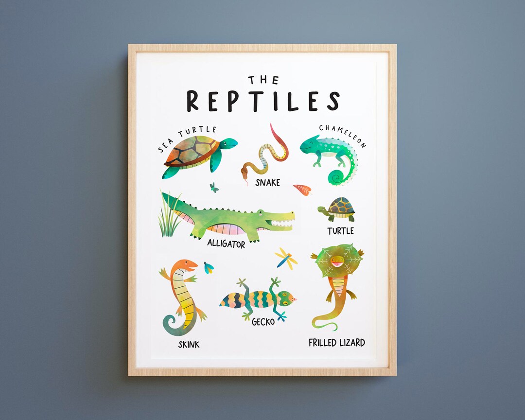 Reptiles PRINTS, Education Printable, Homeschool Prints, Learning ...