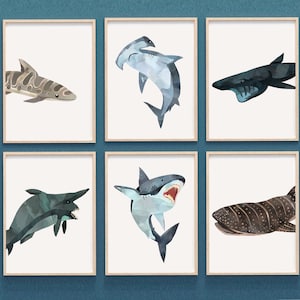 Hai Poster, Hai Druck, Hai-Arten, Kinderzimmer Haie, Hai bedruckbar, Hai Kinderzimmer Dekor, Hai Kindergarten Poster, junge Kindergarten Kunstwerk